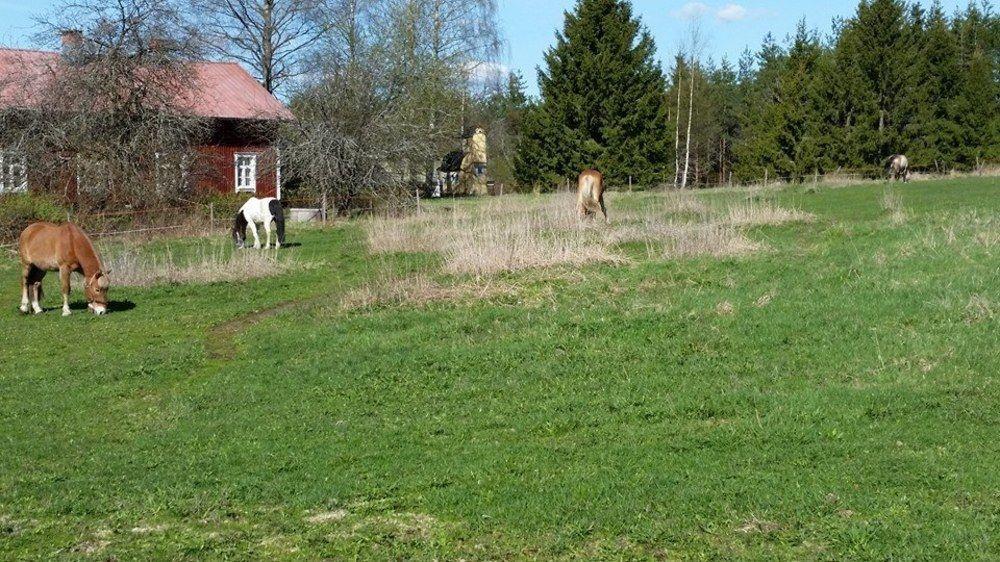 Tuhannen Tarinan Talo Kannuskoski Exterior foto